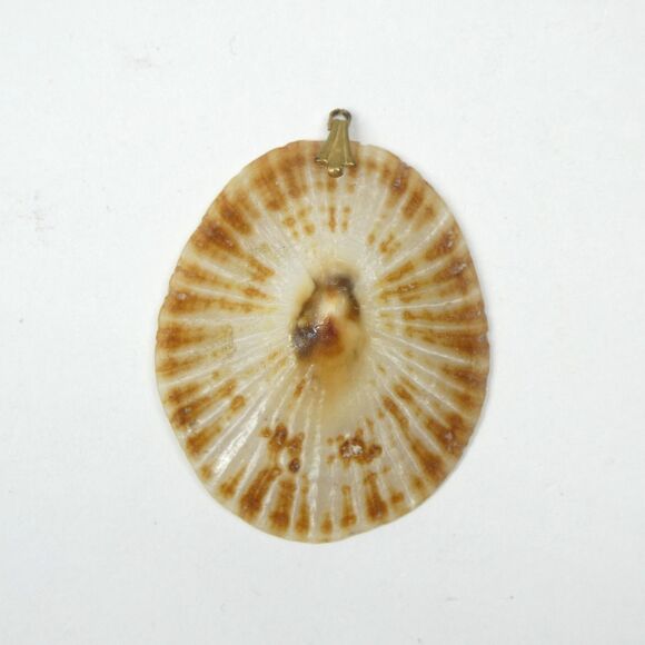 Limpet Shell Pendant Vintage 1 3/4" Seashell Natural - Picture 2 of 8